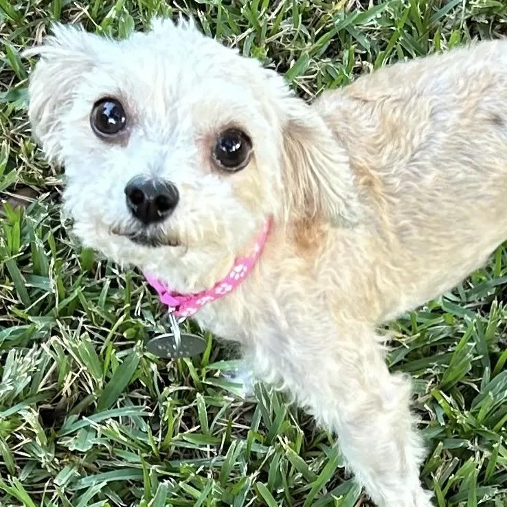 Hazel Marie thumbnail 2