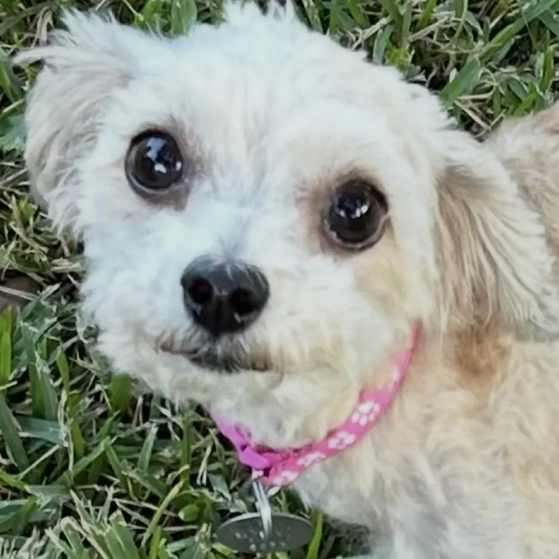 Hazel Marie thumbnail 5