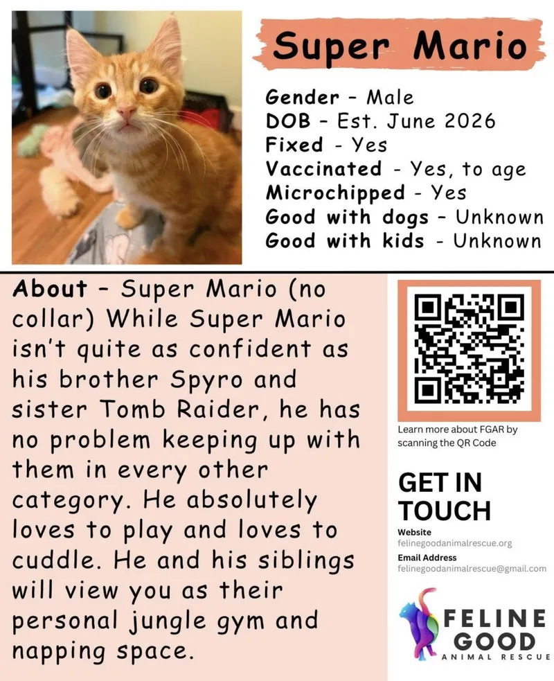 Super Mario thumbnail 5