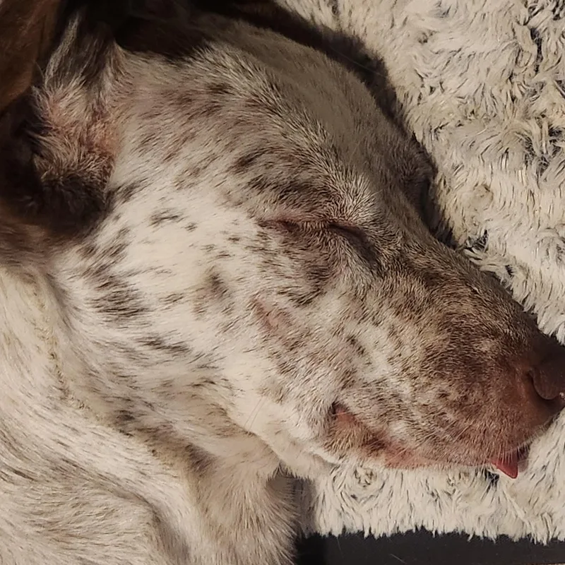 Daisy May thumbnail 2