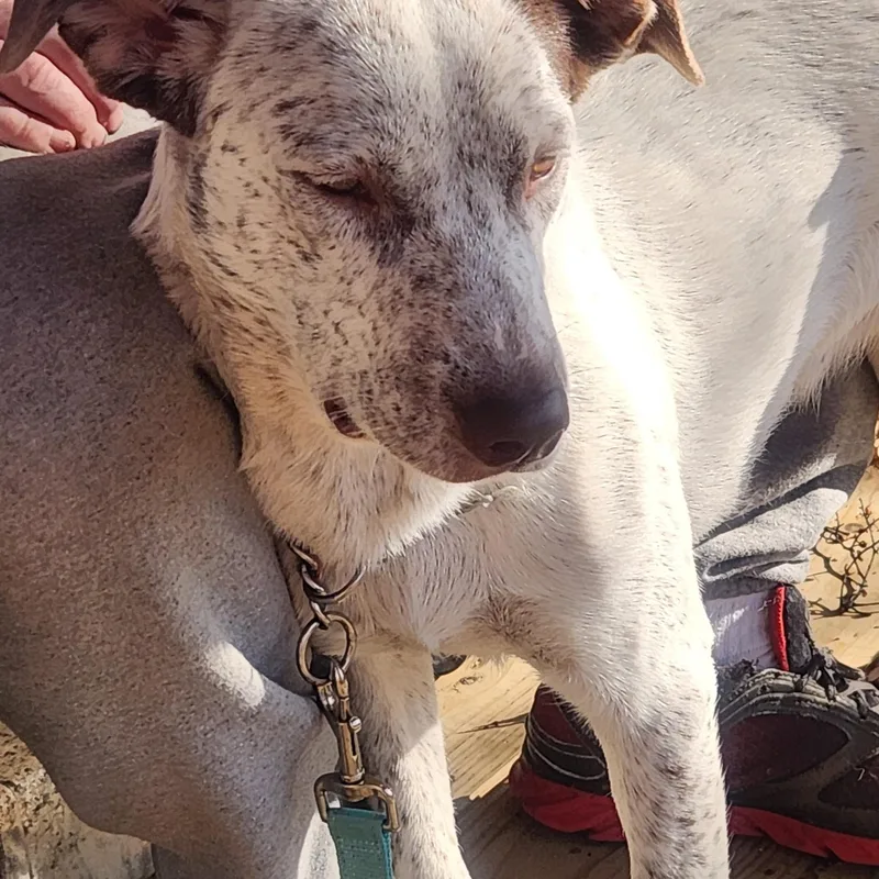 Daisy May thumbnail 3