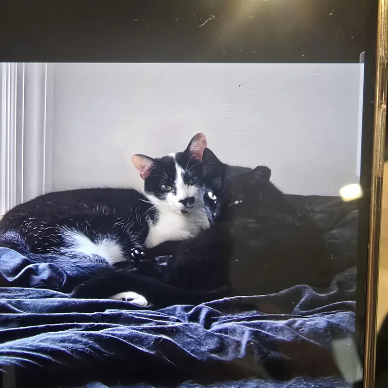 OREO & Mama Noir thumbnail 4