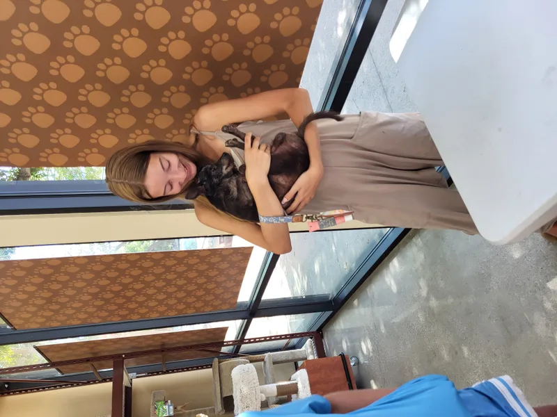 King George thumbnail 3