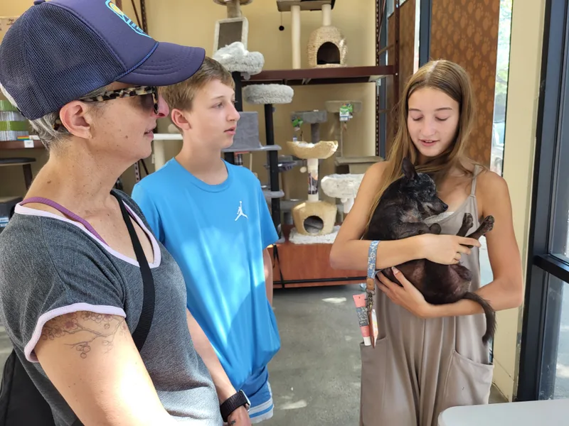 King George thumbnail 5