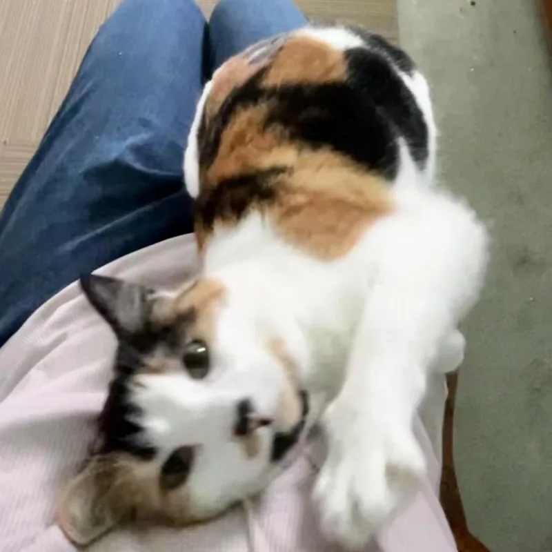 Keona thumbnail 2