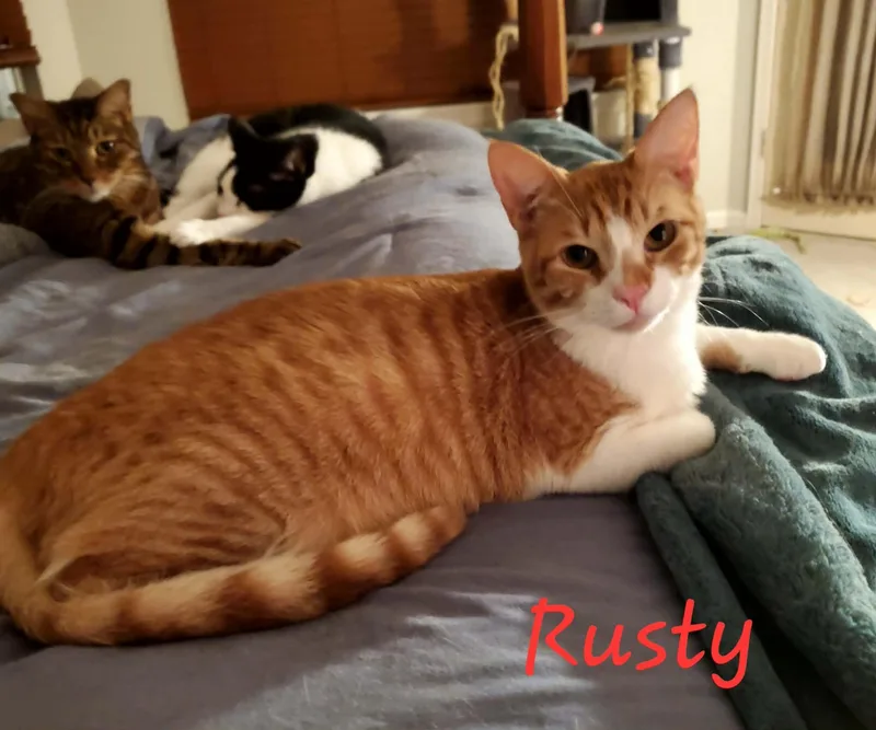 Rusty thumbnail 2