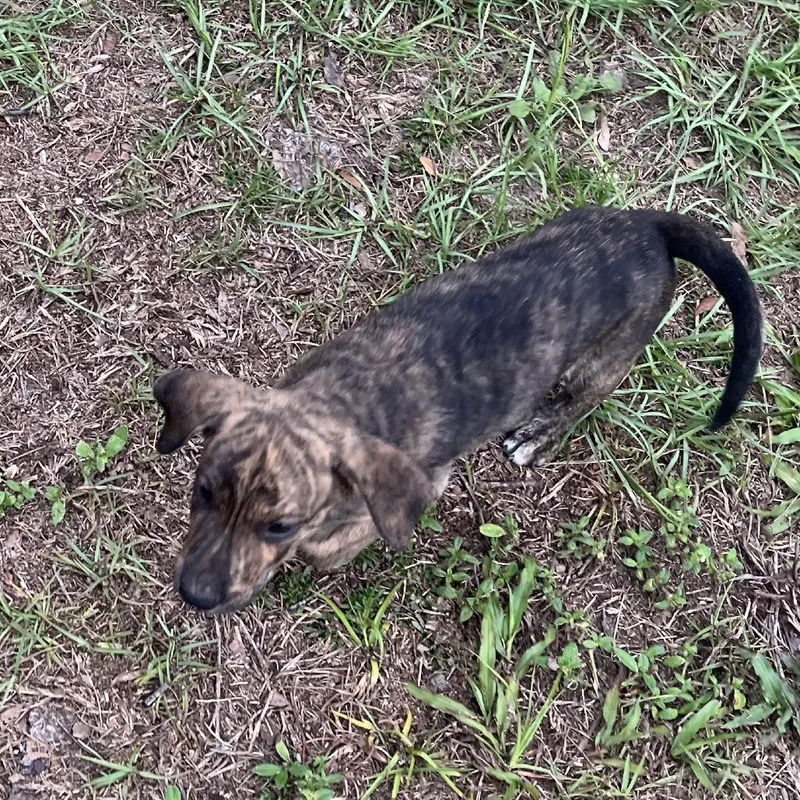 LeRoy