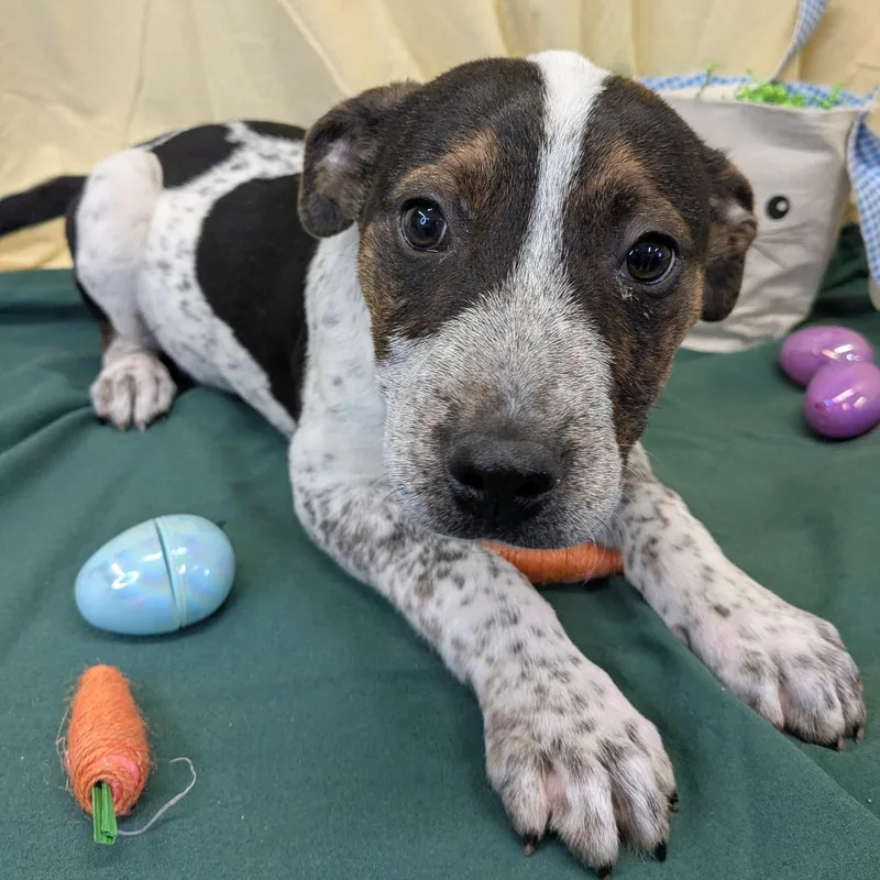 One Direction thumbnail 2