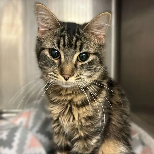 Turnip For What thumbnail 2