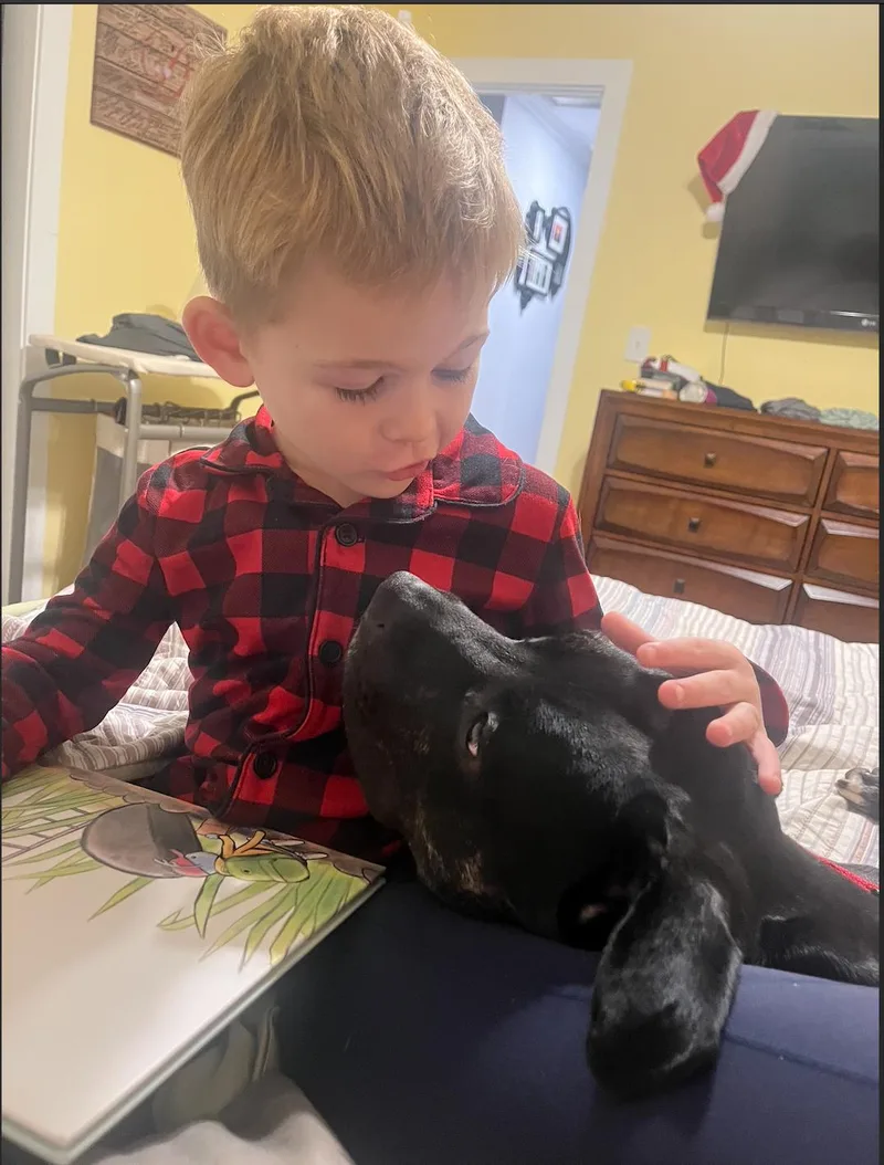 Nox Fka Broncs thumbnail 3