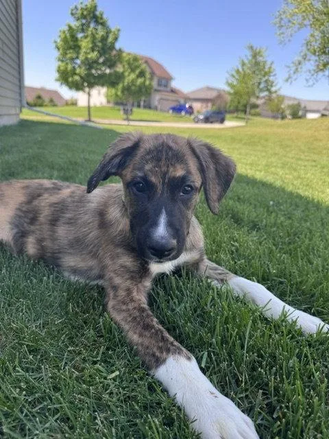 Marco