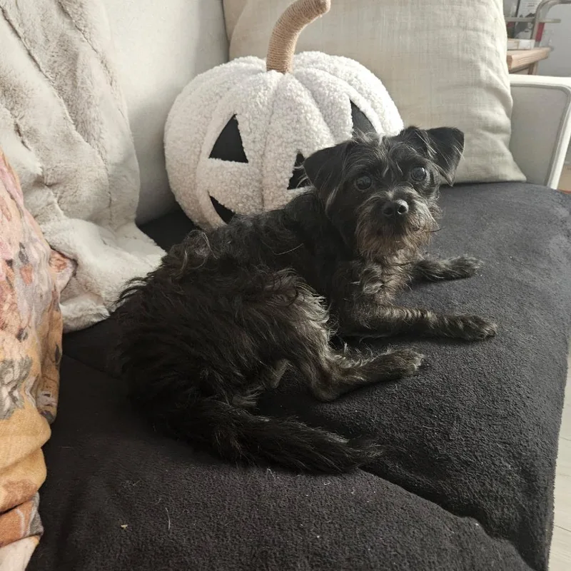 Starla Renee thumbnail 2