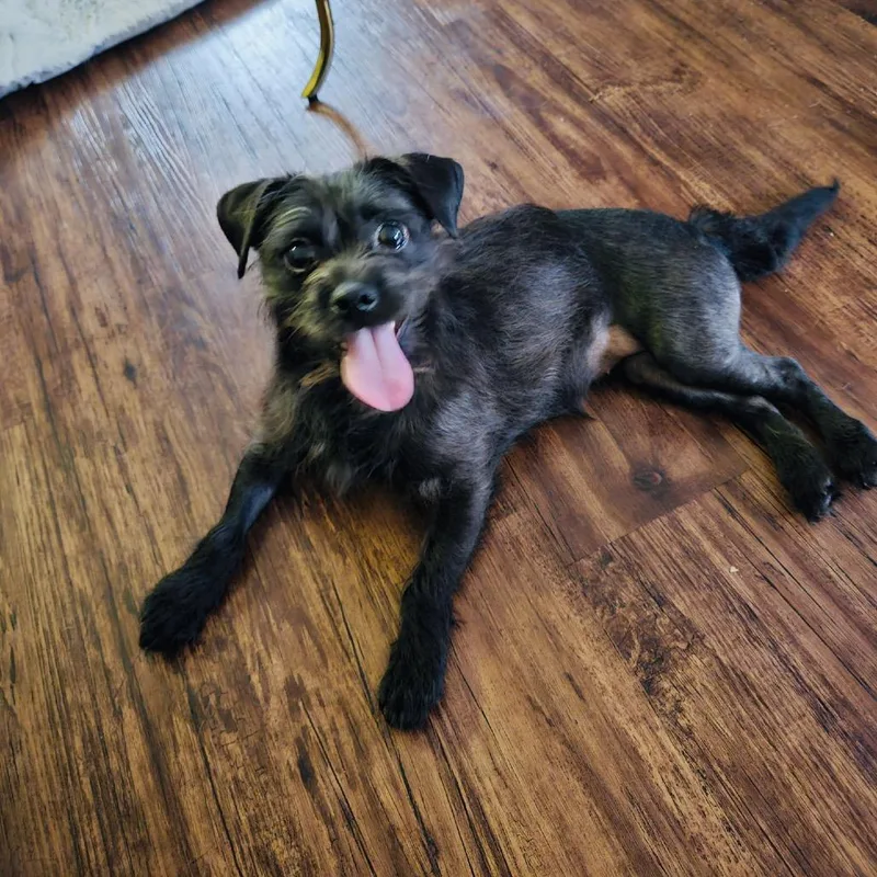 Starla Renee thumbnail 3