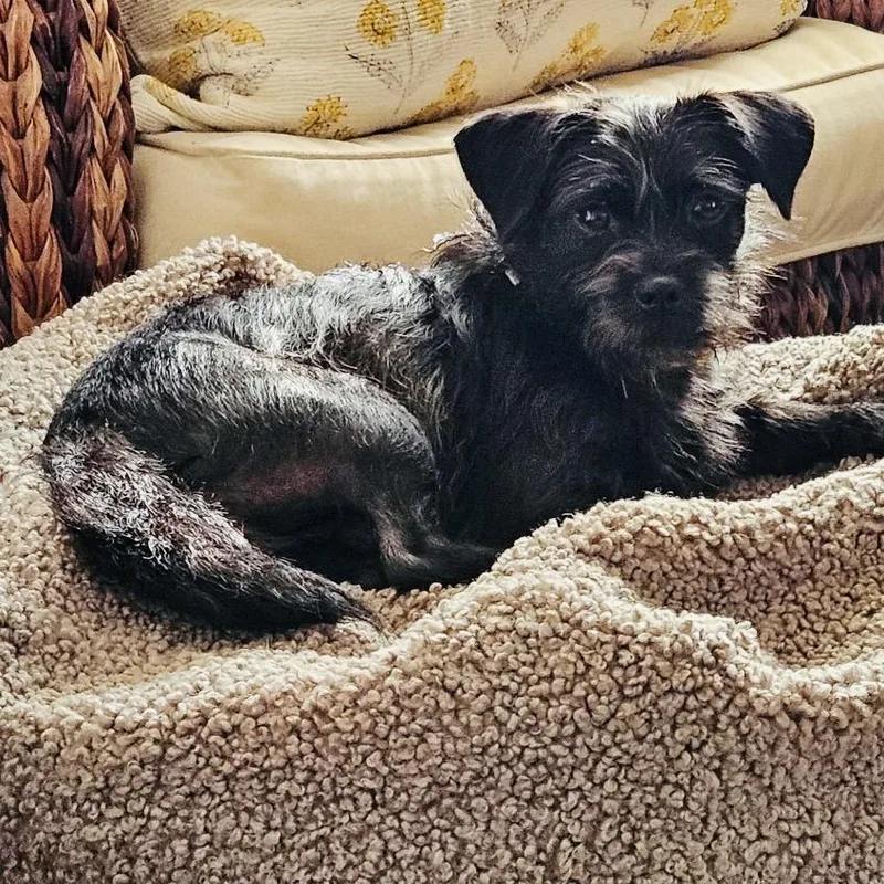 Starla Renee thumbnail 4