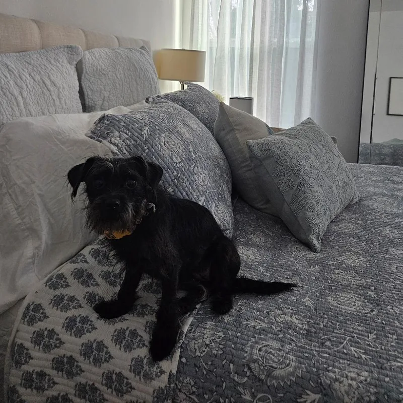 Starla Renee thumbnail 5