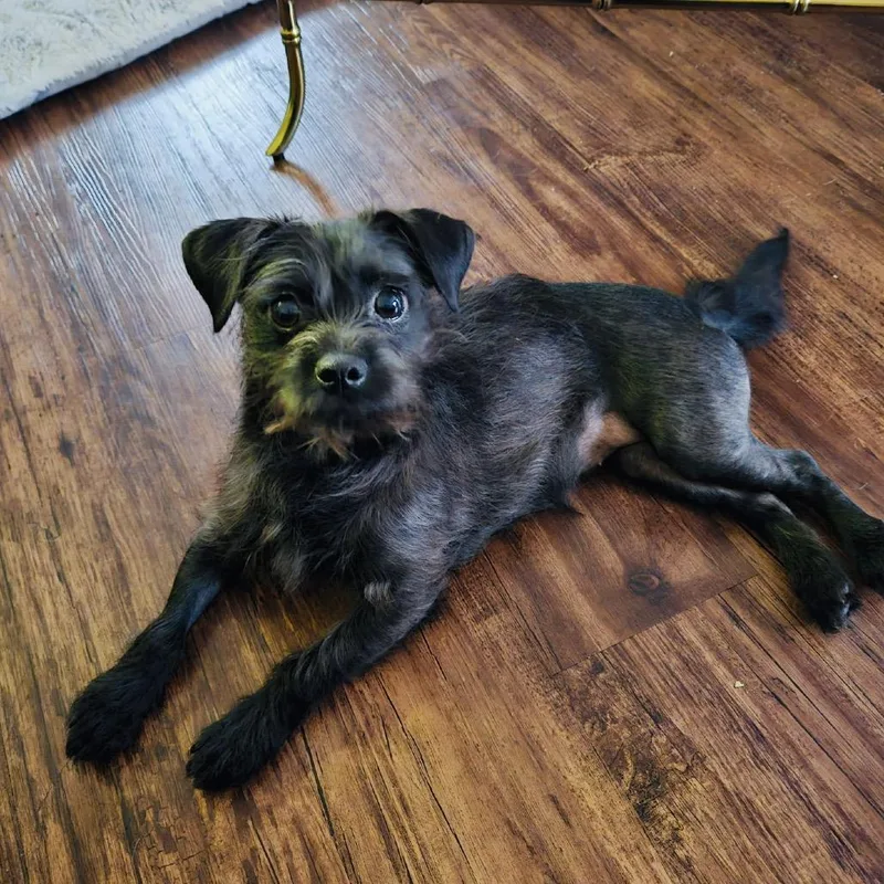 Starla Renee thumbnail 6