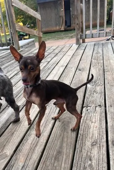 Finnegan thumbnail 2