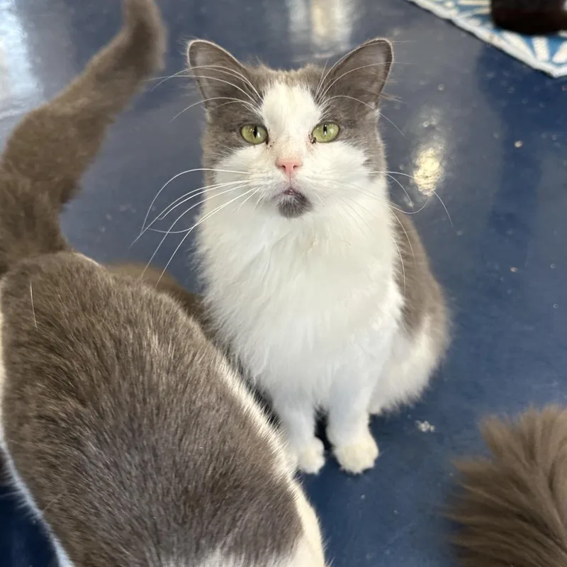 Lucy Lou thumbnail 2