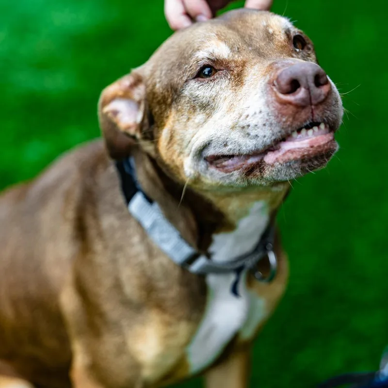 Princess thumbnail 2