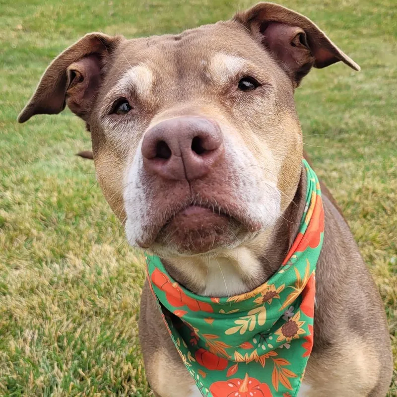 Princess thumbnail 3