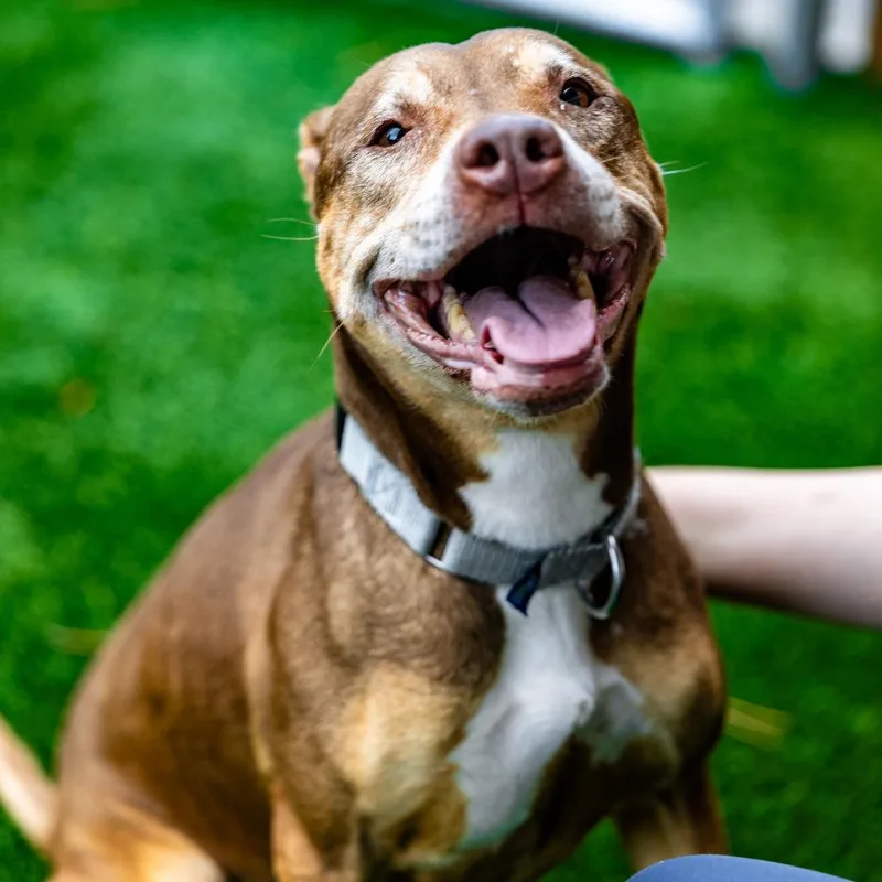 Princess thumbnail 4