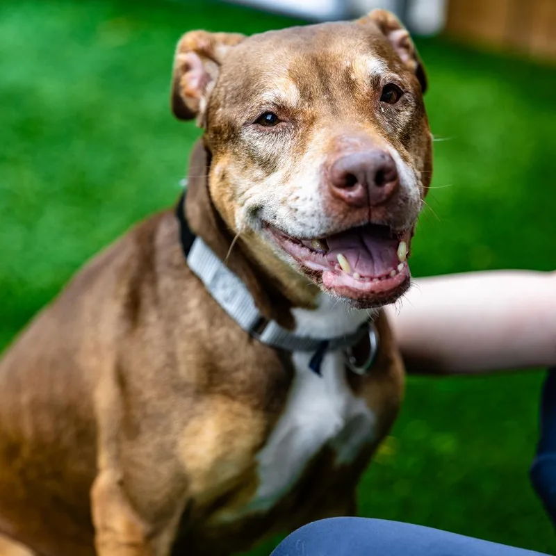 Princess thumbnail 5