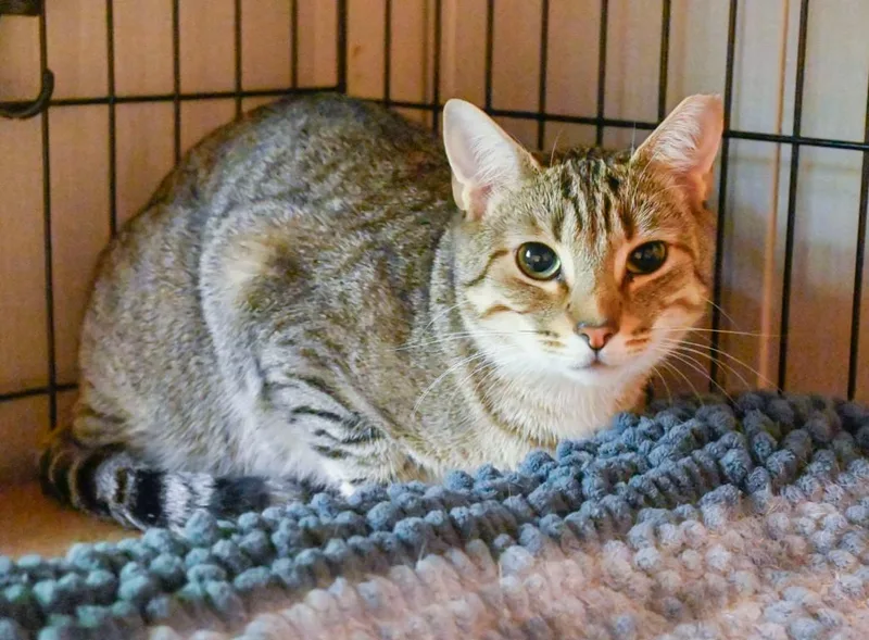 Rockyand Cocoa thumbnail 2