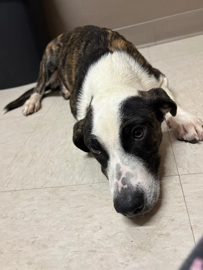 Popcorn thumbnail 2