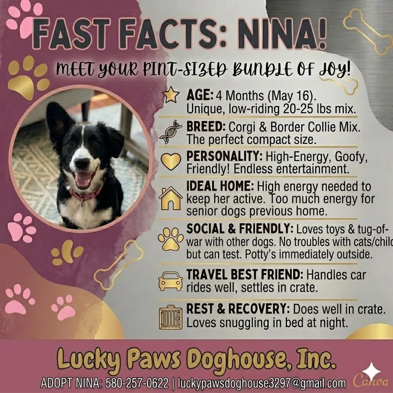 Nina