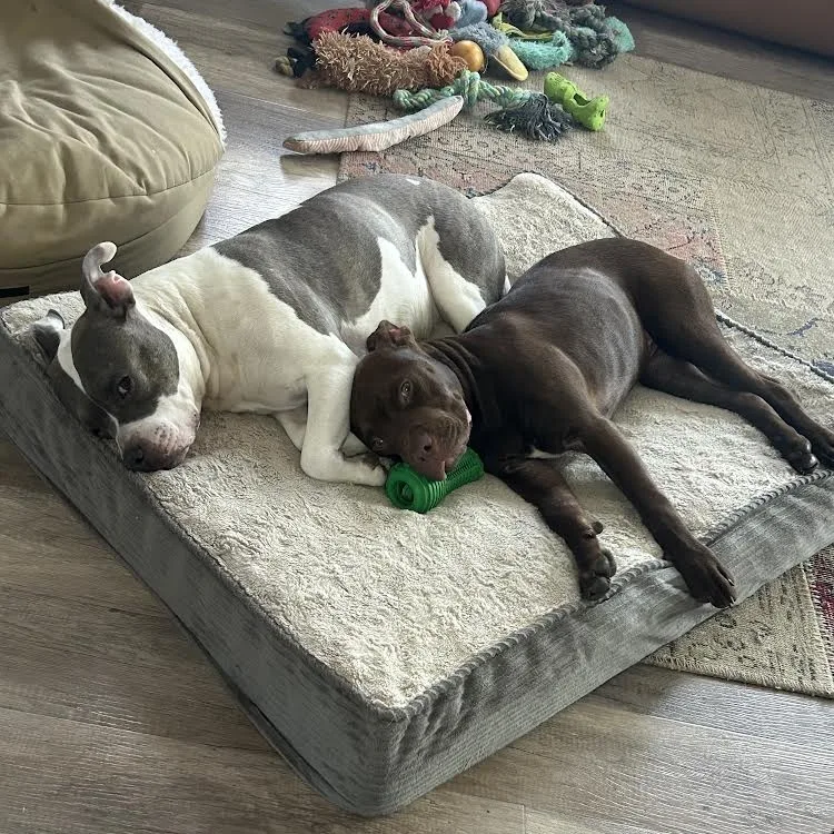 Tater Tot thumbnail 2