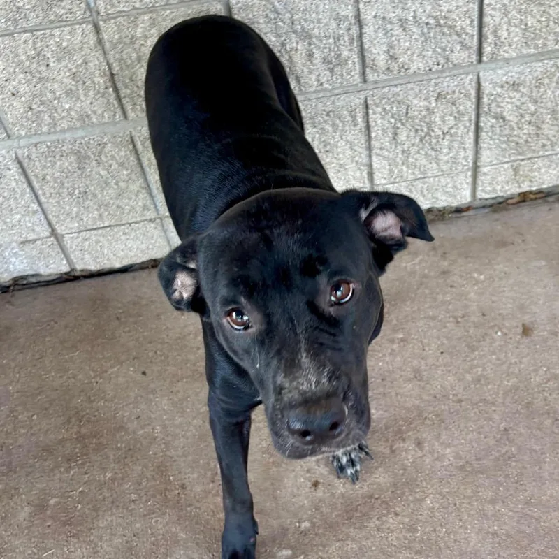 Jackie thumbnail 2