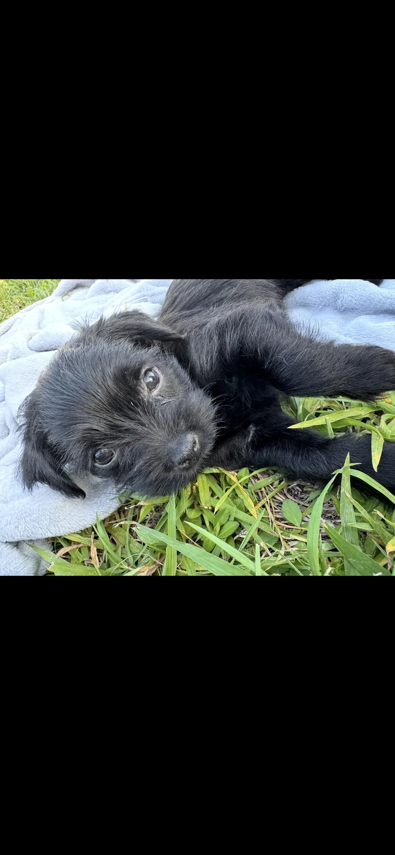 Mocha thumbnail 2