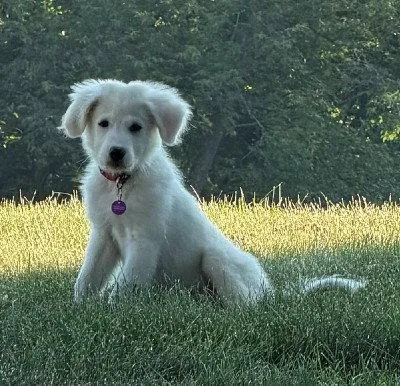 Ellie thumbnail 2