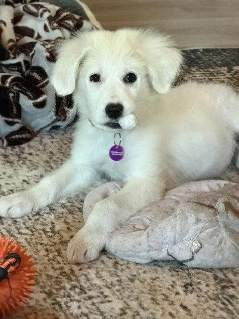 Ellie thumbnail 3