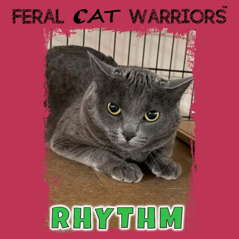 Rhythm