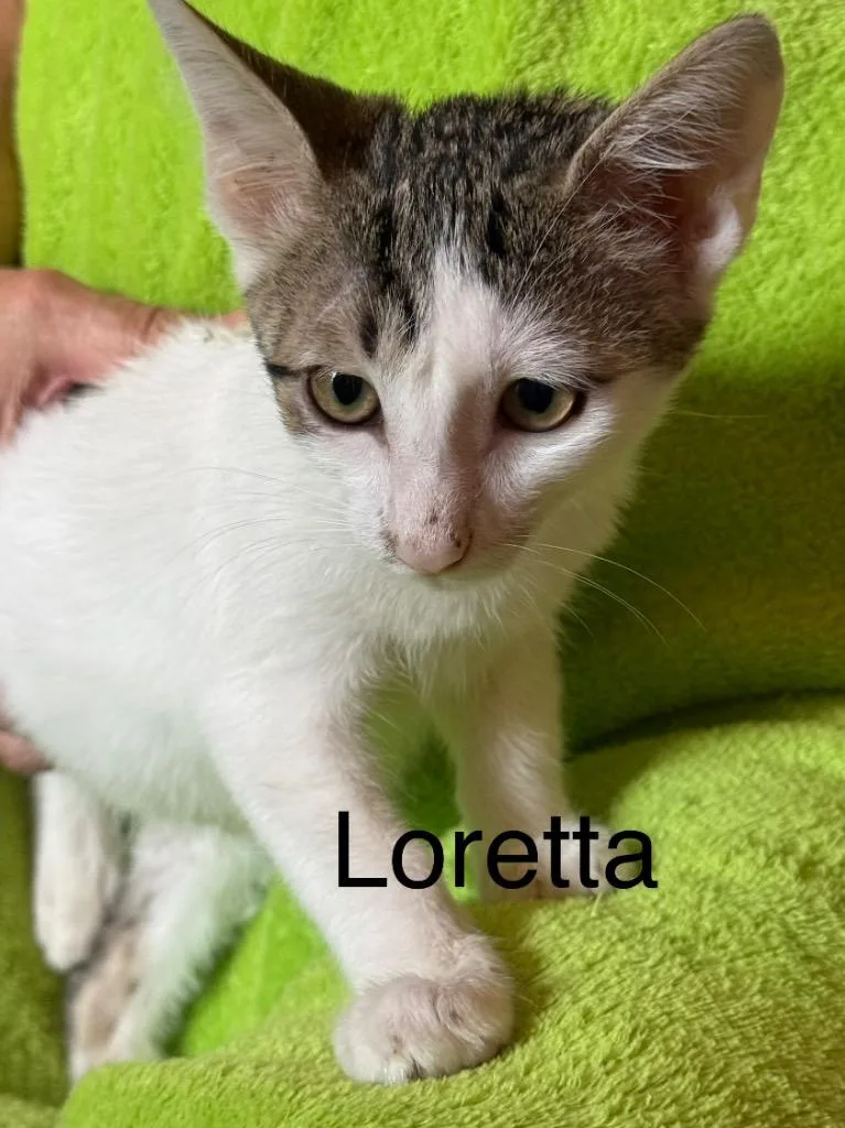 Loretta