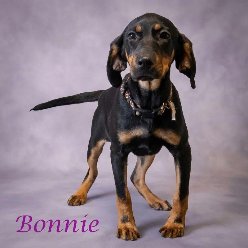 Bonnie D thumbnail 2