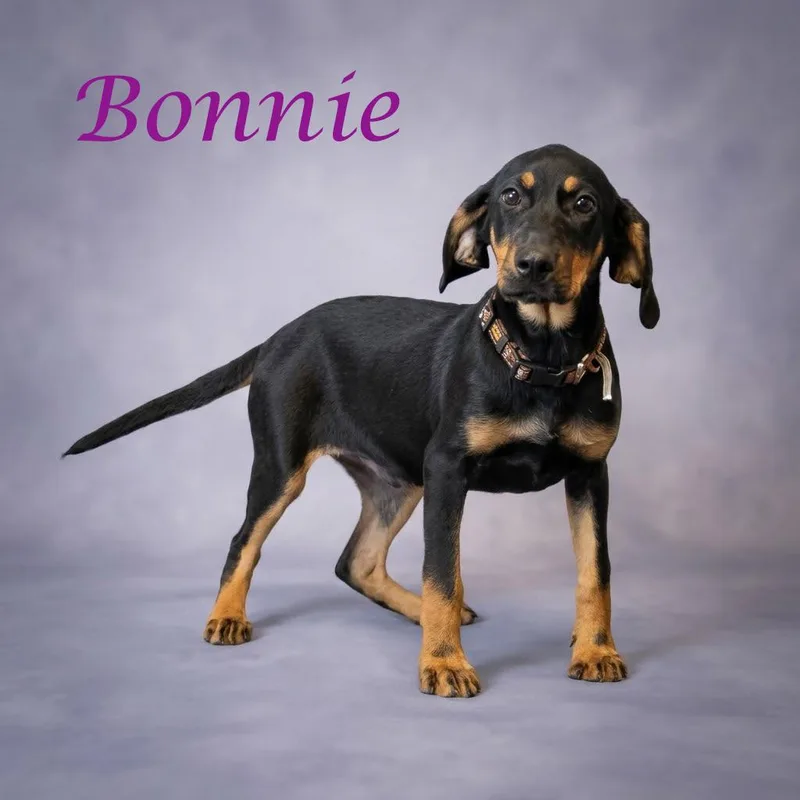 Bonnie D thumbnail 5