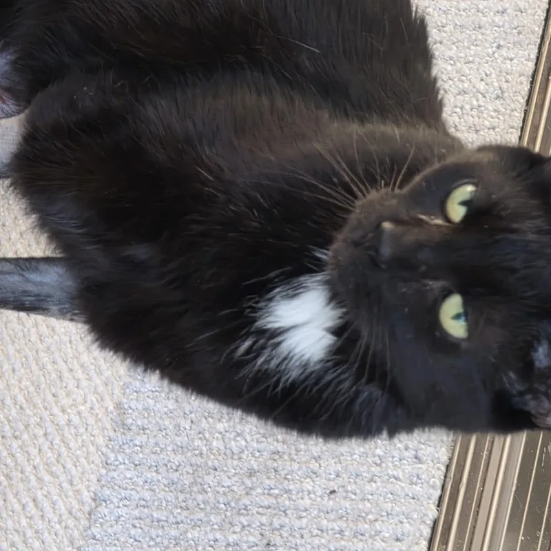 Betsy thumbnail 3