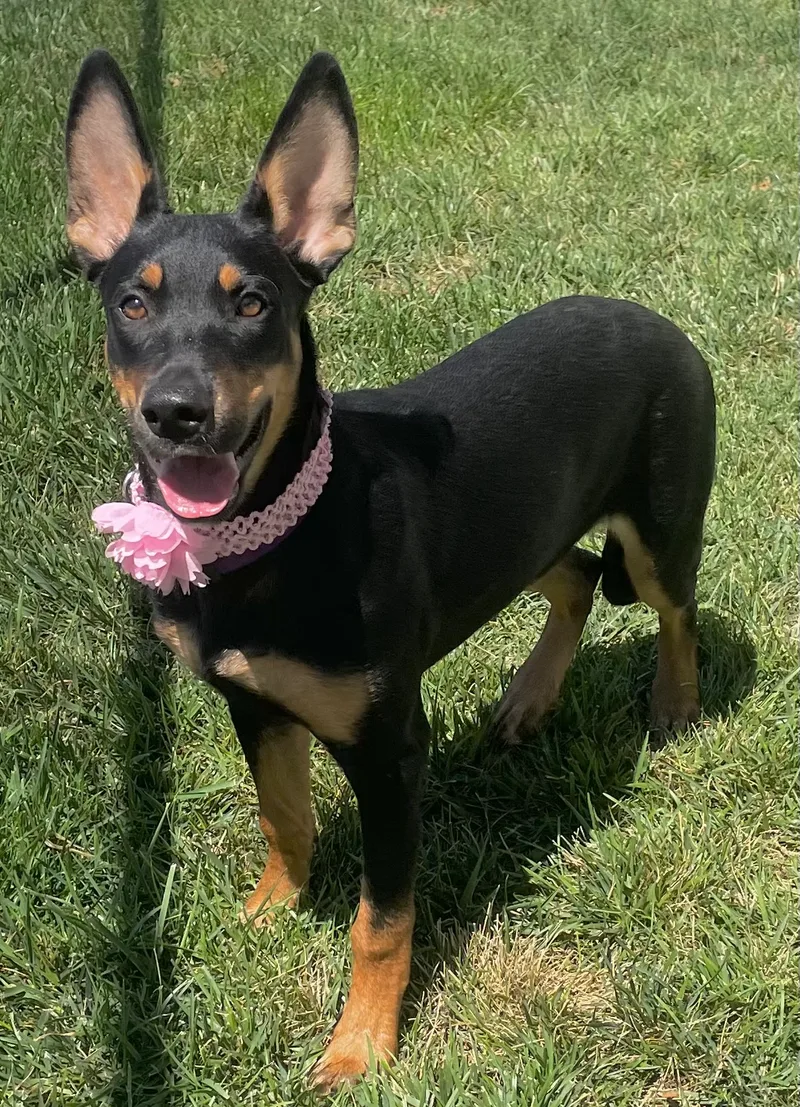 Cleopatra thumbnail 2