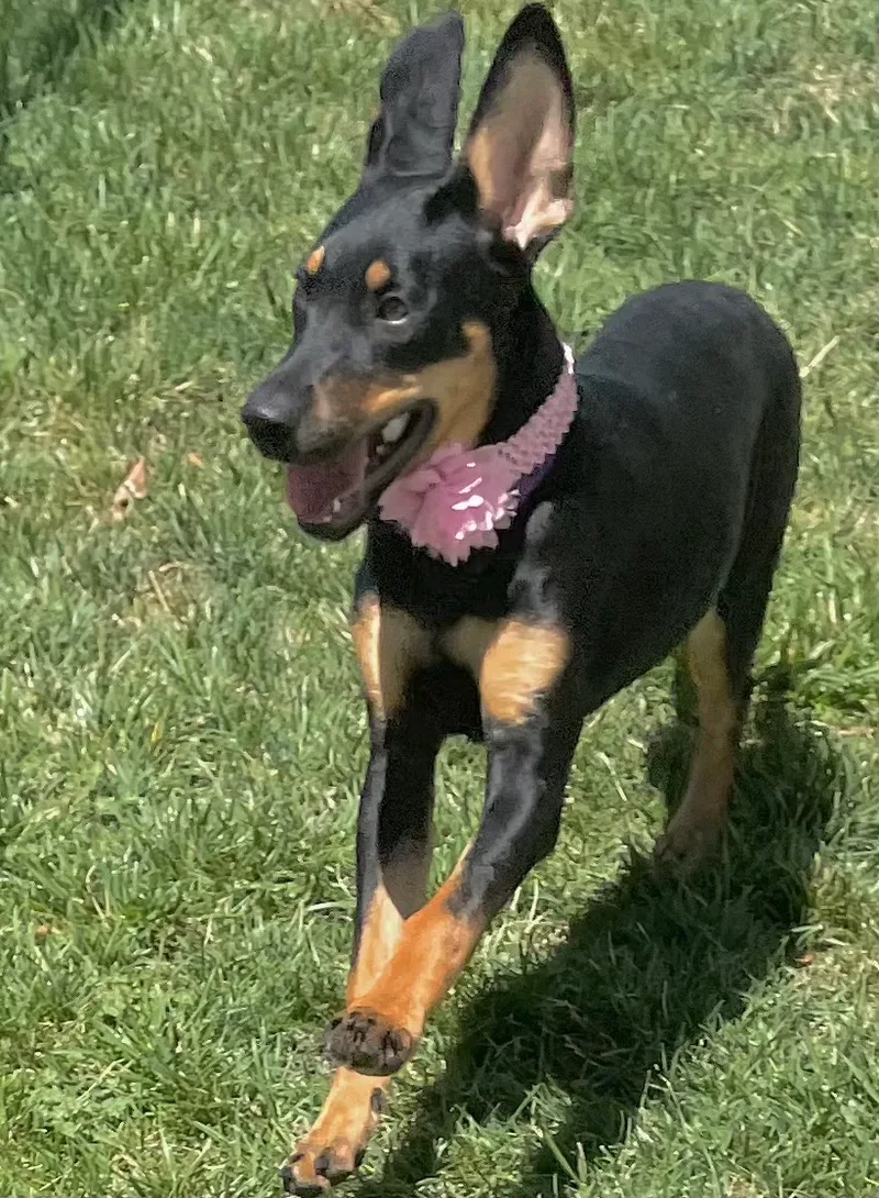 Cleopatra thumbnail 4