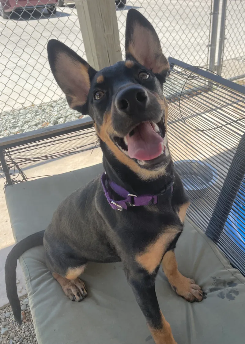 Cleopatra thumbnail 5