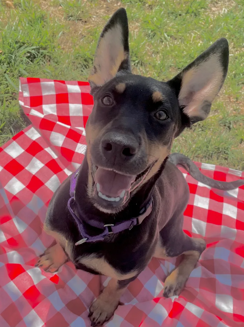 Cleopatra thumbnail 6