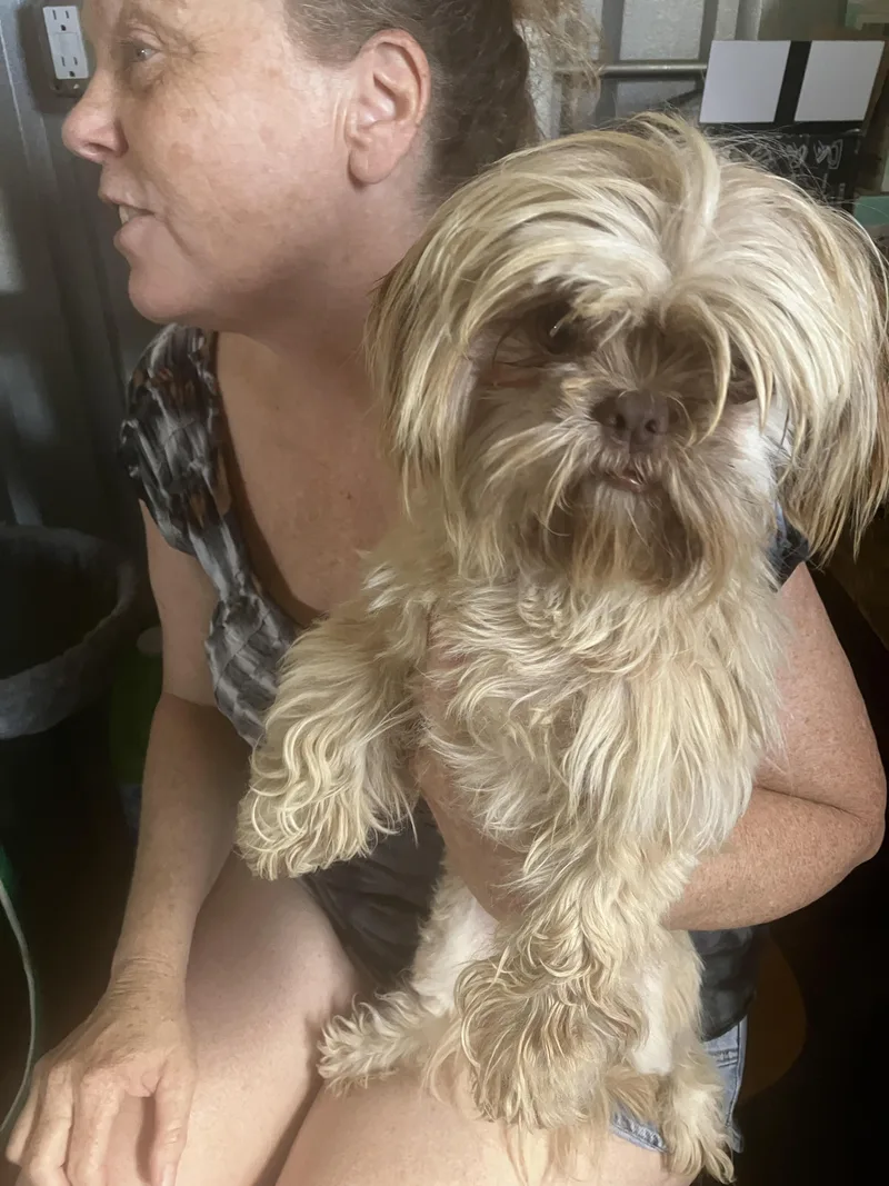 Sunshinelittle Wookie thumbnail 5