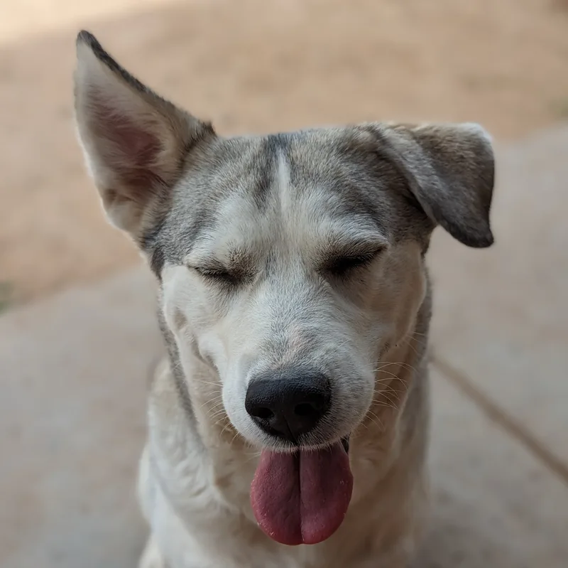 Margot thumbnail 4