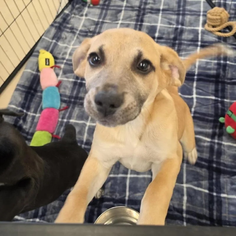 Walter White thumbnail 2