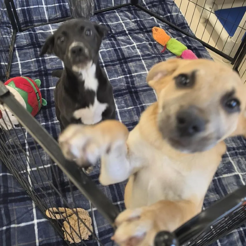 Walter White thumbnail 3