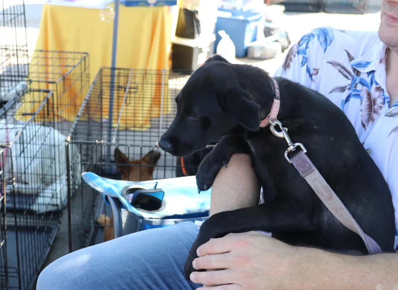 Xena thumbnail 2