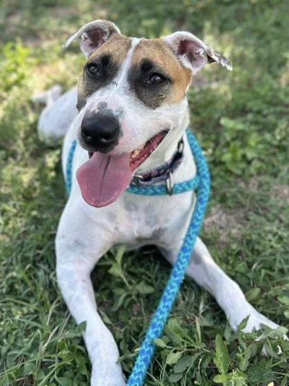 Beatrice thumbnail 3