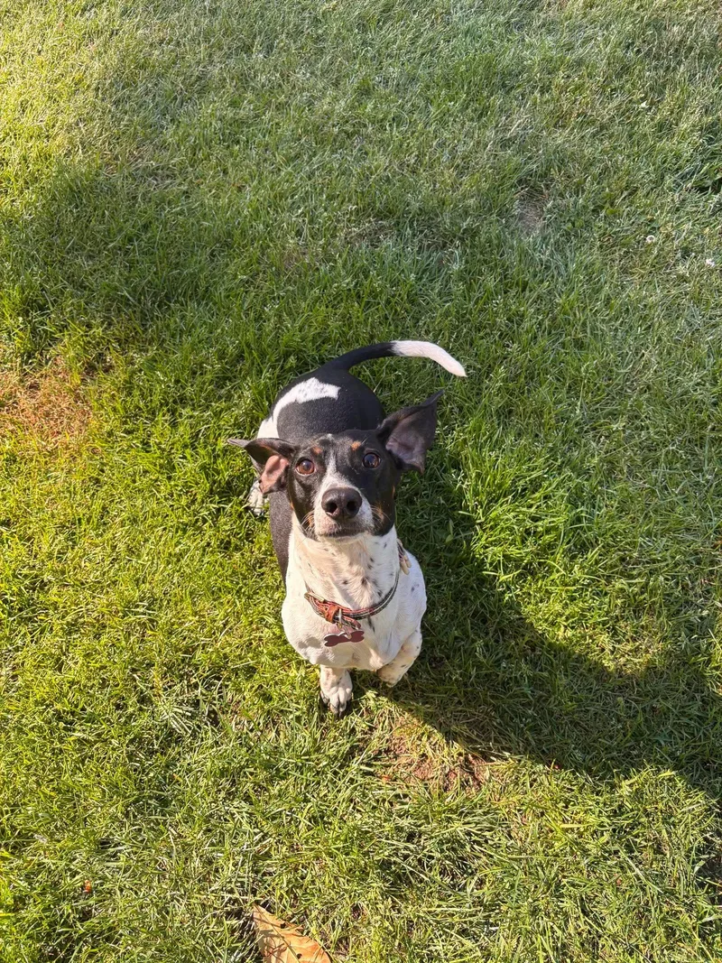 Morty